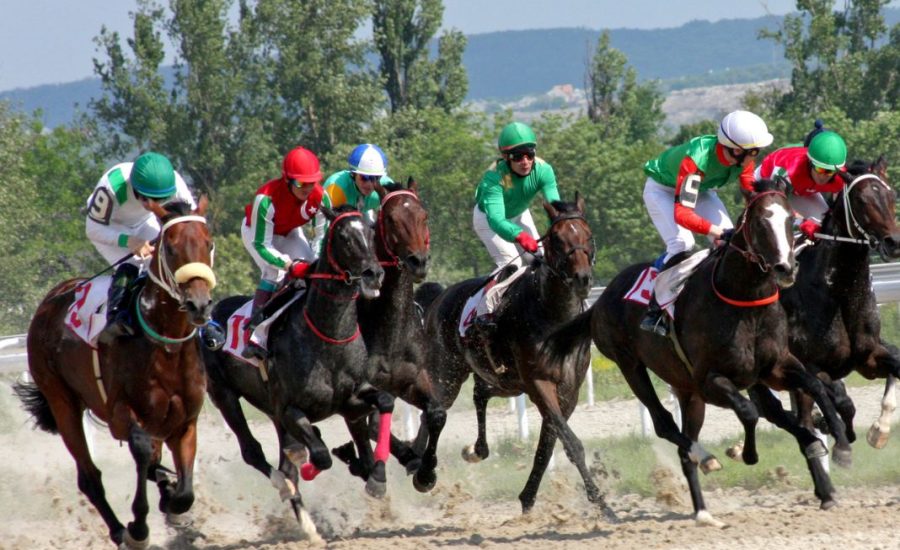 Can You Profit From Gambling On Horse Racing?